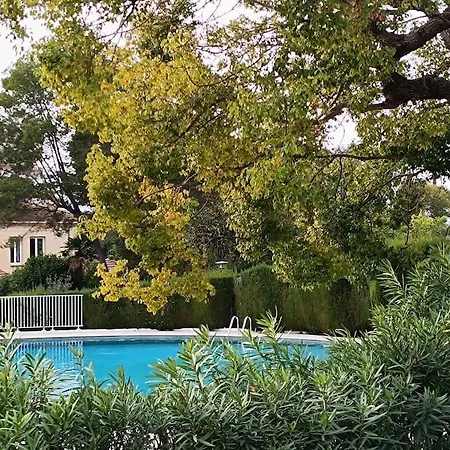 Lejlighed Rocher Saint Georges Spacieux 3p Jardin Piscine Cannes